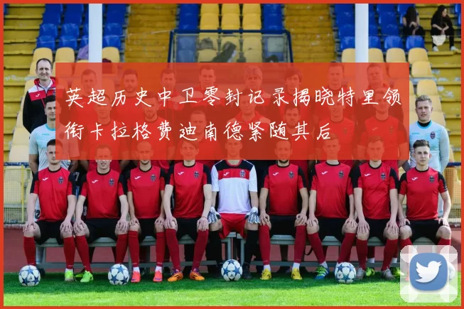 英超历史中卫零封记录揭晓特里领衔卡拉格费迪南德紧随其后