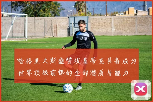 哈格里夫斯盛赞埃基蒂克具备成为世界顶级前锋的全部潜质与能力
